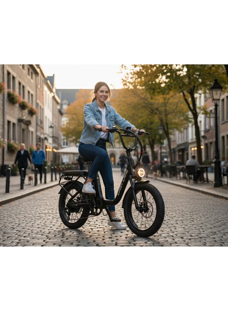 Lucky Liang U03 Electric Bike 500W Motor (750W Max), 48V 13Ah Battery, 45Km/h Speed, 45Km Range, 20”3.0 Tires, Disc Brakes, Carbon Steel Frame – Powerful Long Range E-Bike for Adults