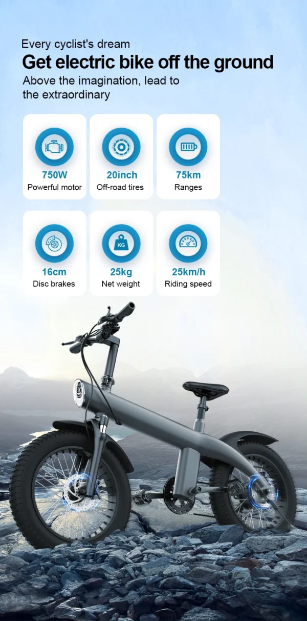 Electric Bike with Rear Spring shock Absorber - Image 4