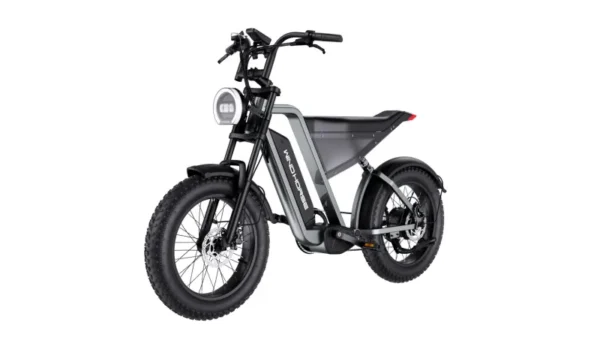 D3 Electric Bike with a 1000W motor, 48V 18AH battery, and a 50 km/h top speed - Image 2