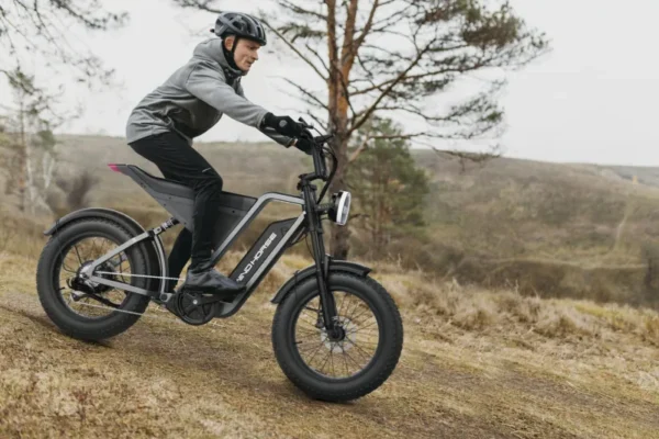 D3 Electric Bike with a 1000W motor, 48V 18AH battery, and a 50 km/h top speed