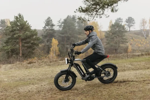 D3 Electric Bike with a 1000W motor, 48V 18AH battery, and a 50 km/h top speed - Image 3