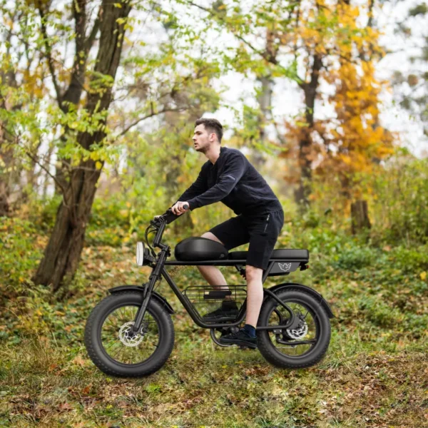 Electric Bike D5: 1000W motor, 48V 21AH battery, 50 km/h top speed
