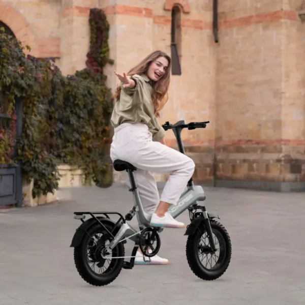 WAVE W1 Electric Bike