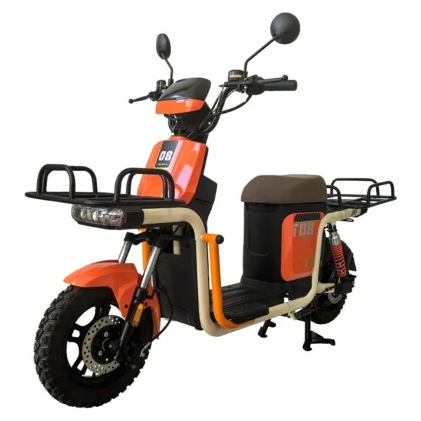 M4 Electric Bicycle with Built-in 48V 20AH Lead-acid Battery and Front and Rear Large Carriage
