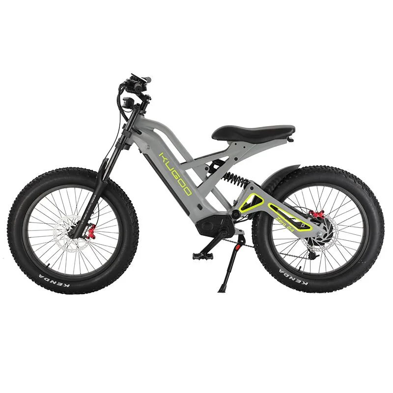 Kugoo Zero 24